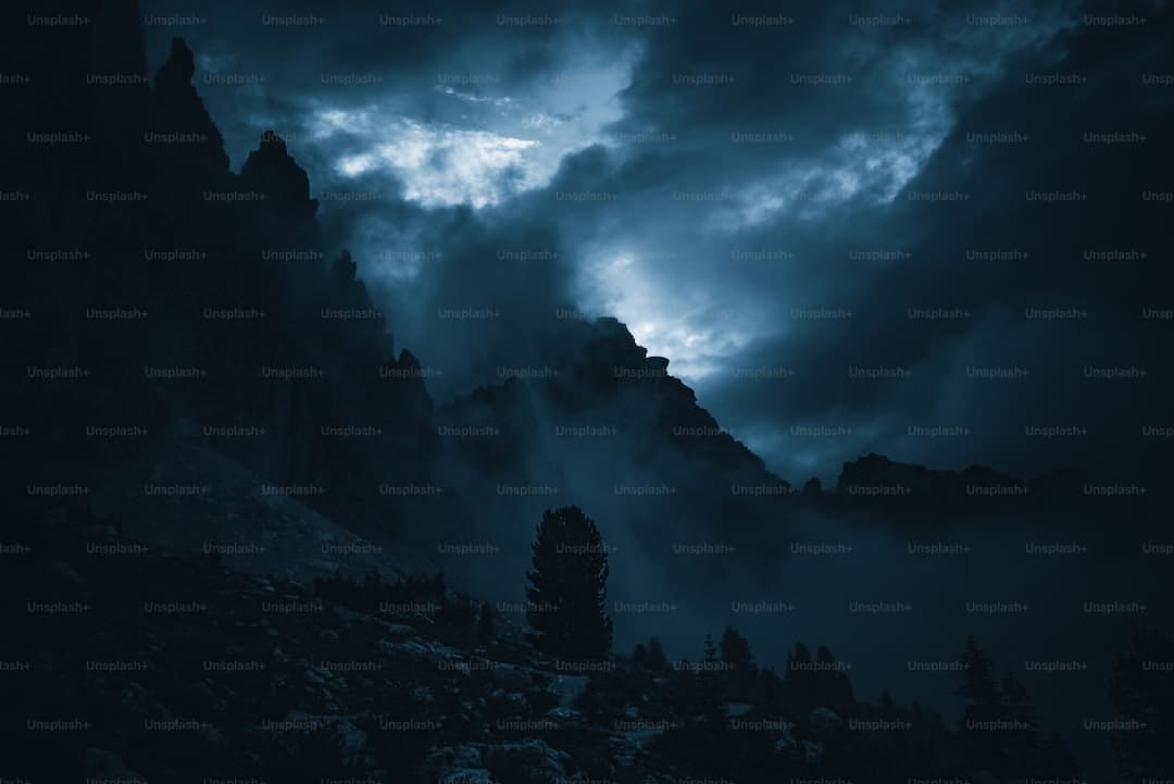 诏安梅岭:七夕献血传递爱 志愿服务暖人心